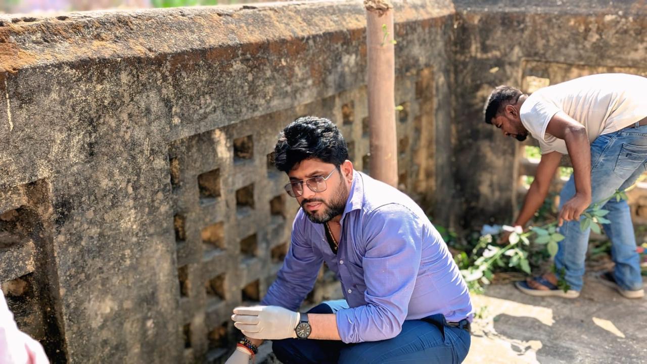 Projects photo