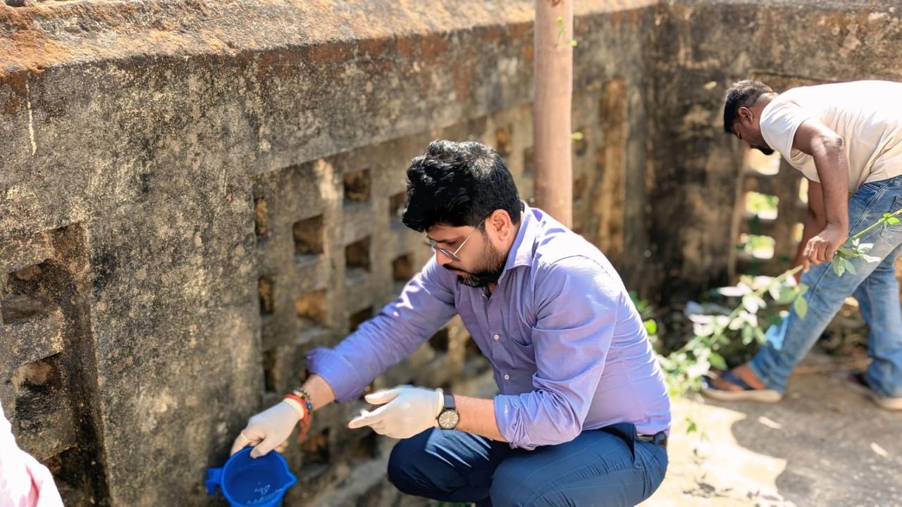 Projects photo