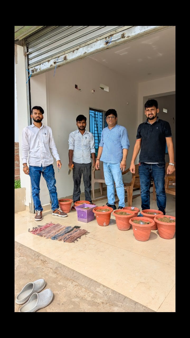 Plantation photo
