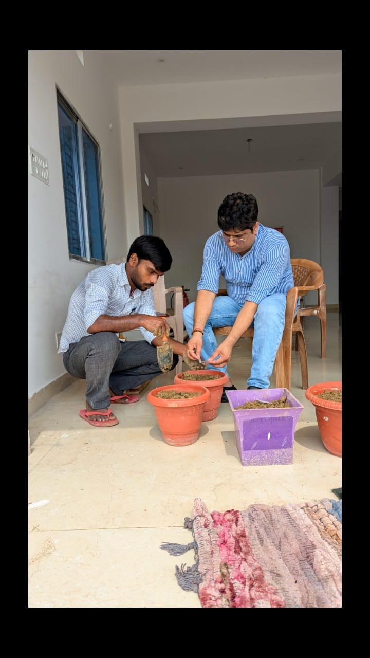 Projects photo