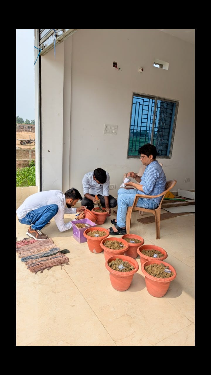 Projects photo